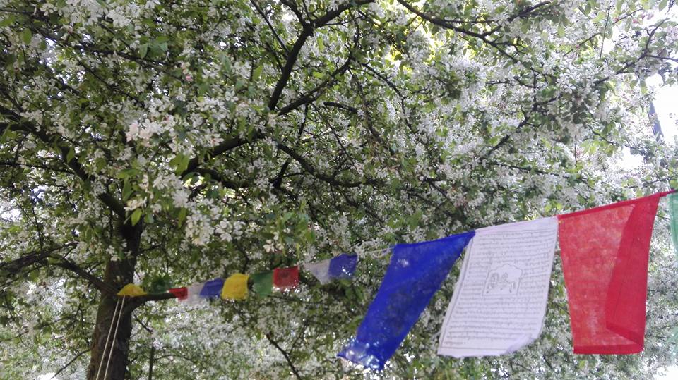 prayerflags